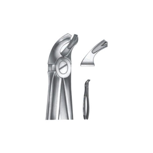 Tooth Extracting Forceps